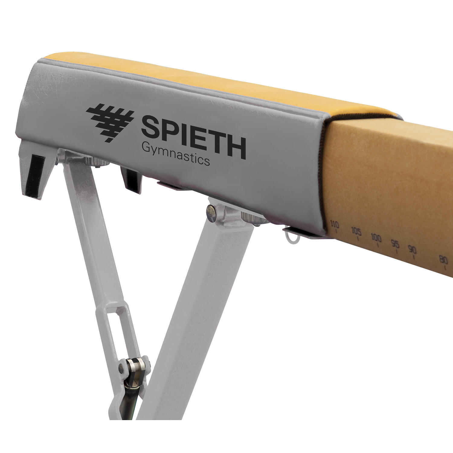 SPIETH picture