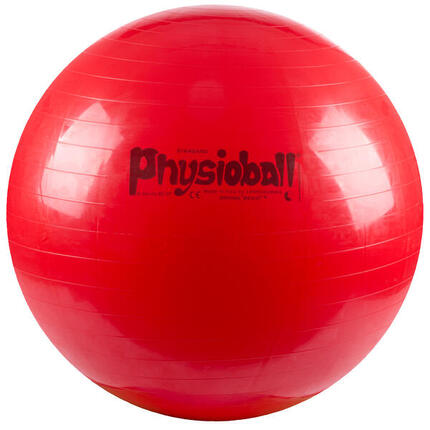 Fitnessball Original Pezziball 42 cm Gymnastik Unisex