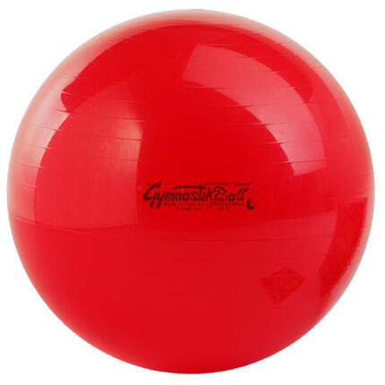 Fitnessball Original Pezziball 42 cm Gymnastik Unisex