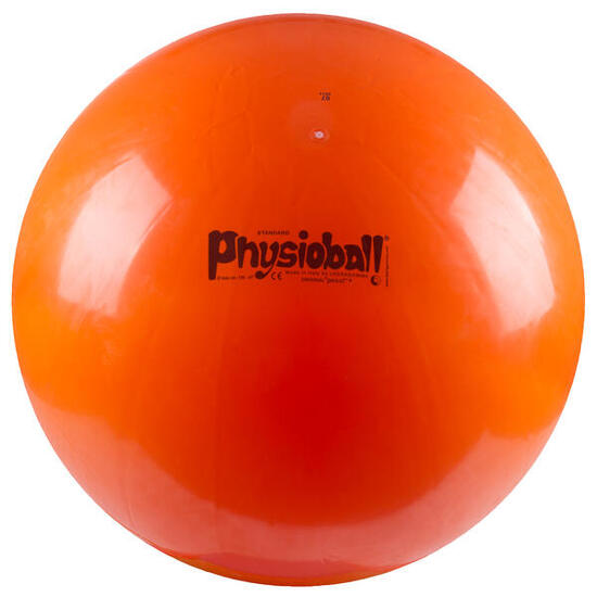 Fitnessball Original Pezziball 42 cm Gymnastik Unisex