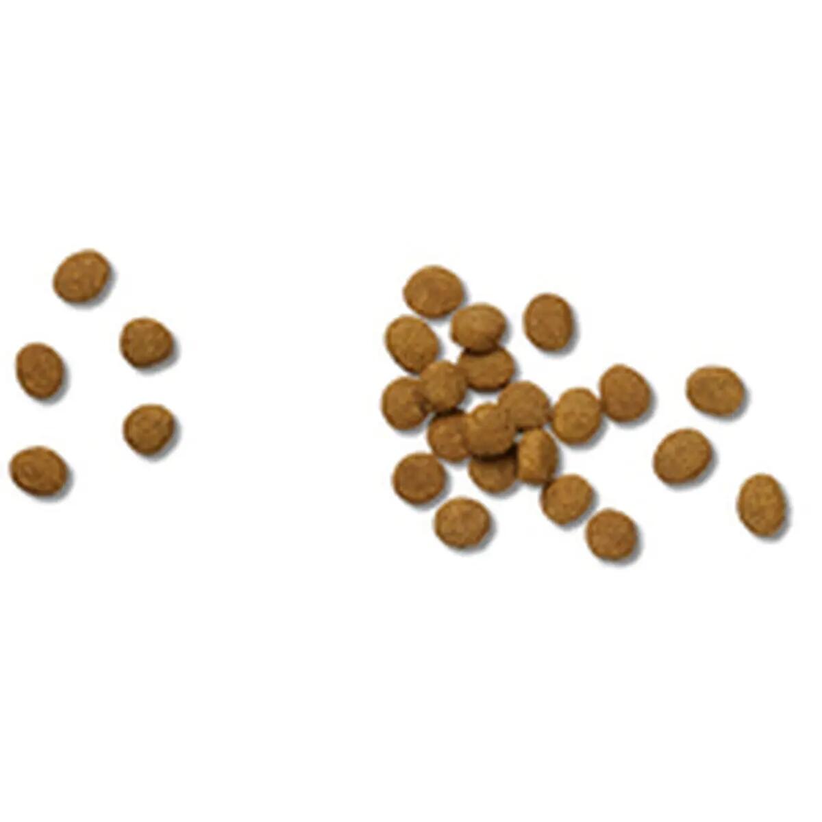 Nourriture Pro Plan Veterinary Diets JM 12 kg 4/5