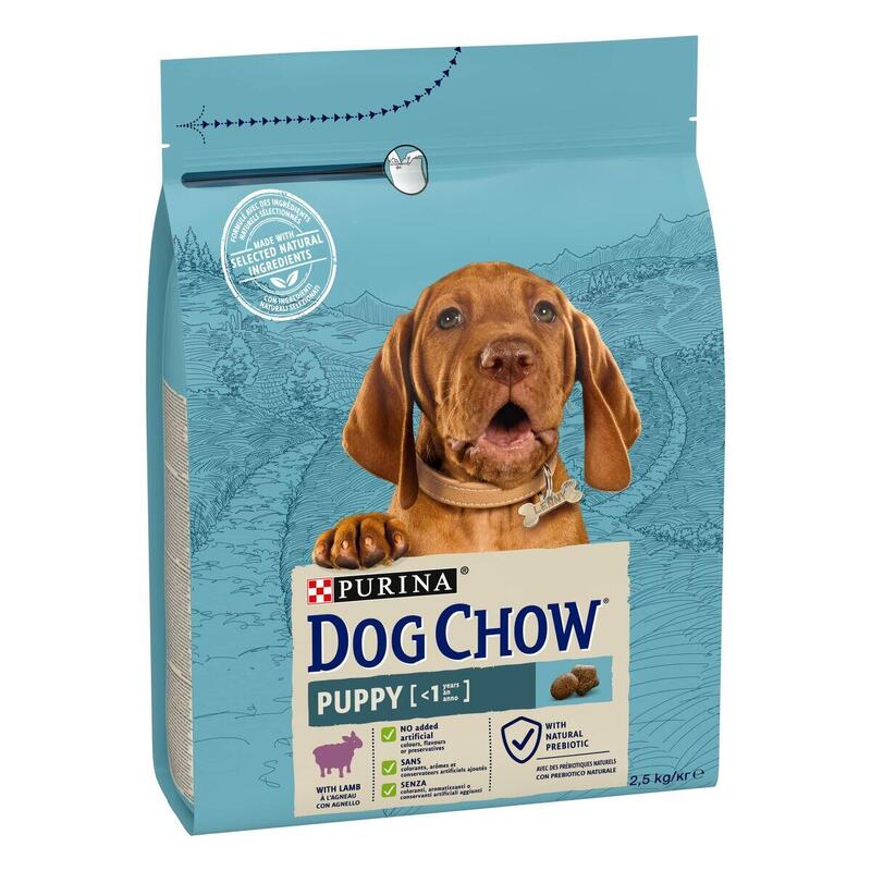 Comida para cão Dog chow Borrego