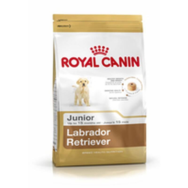 Nutreț Royal Canin Labrador Retriever Junior Pui