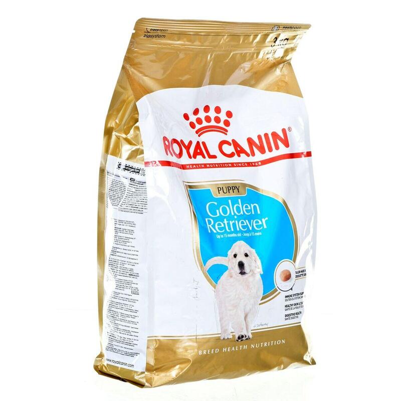 Comida para cão Golden Retriever Puppy 3 Kg