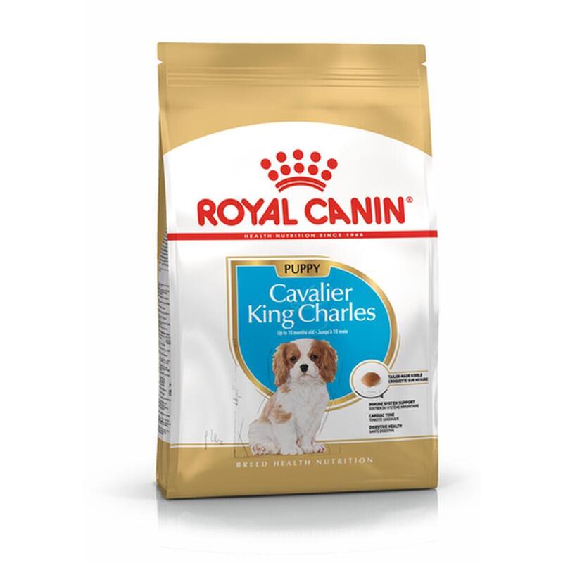 Comida para cão Cavalier King Charles Spaniel Puppy 1,5 Kg