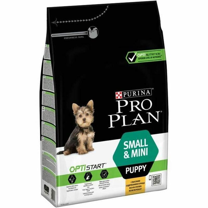Comida para cão Pro Plan Healthy Start Small & Mini Puppy 3 Kg