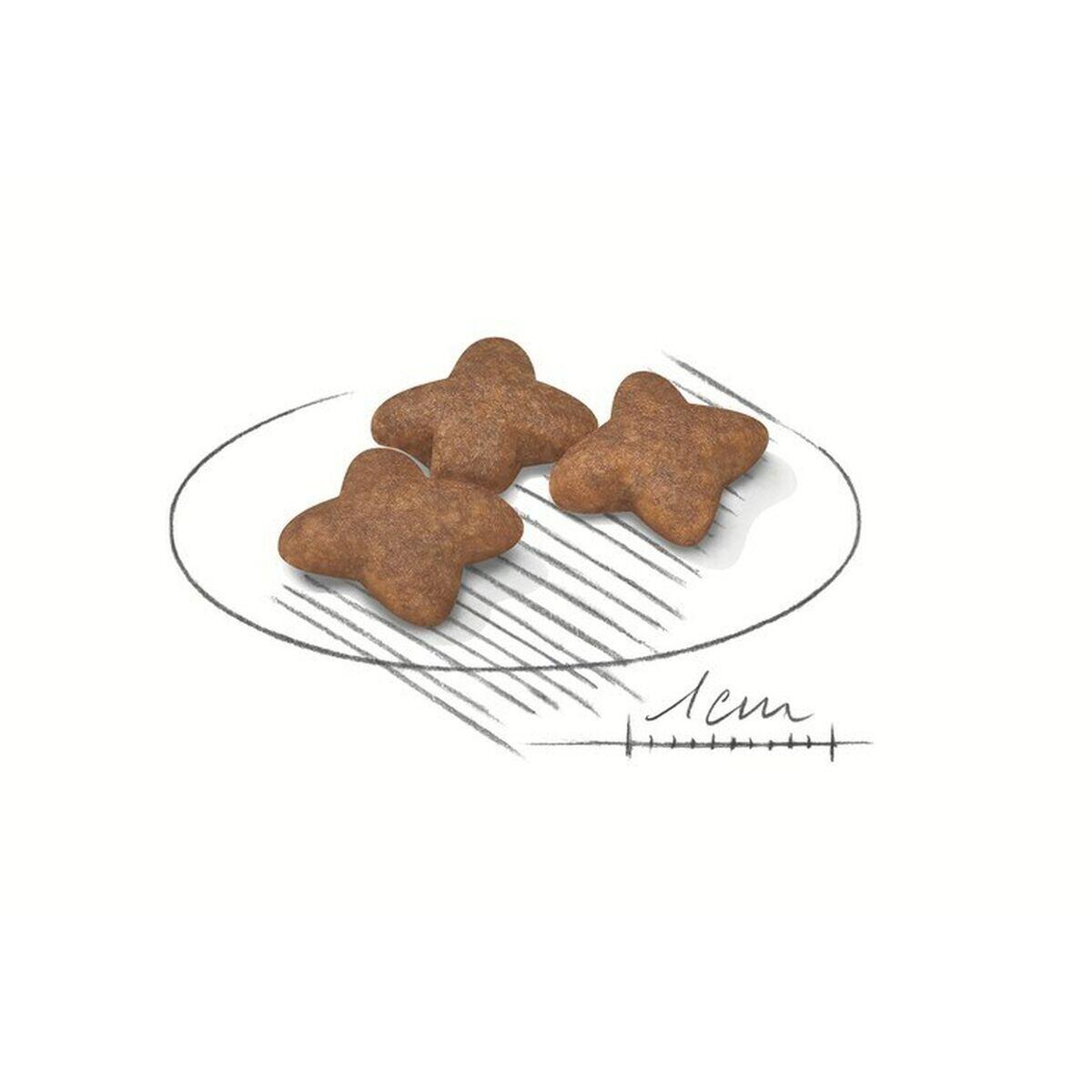 Nourriture Mini Adult 800 g 2/2