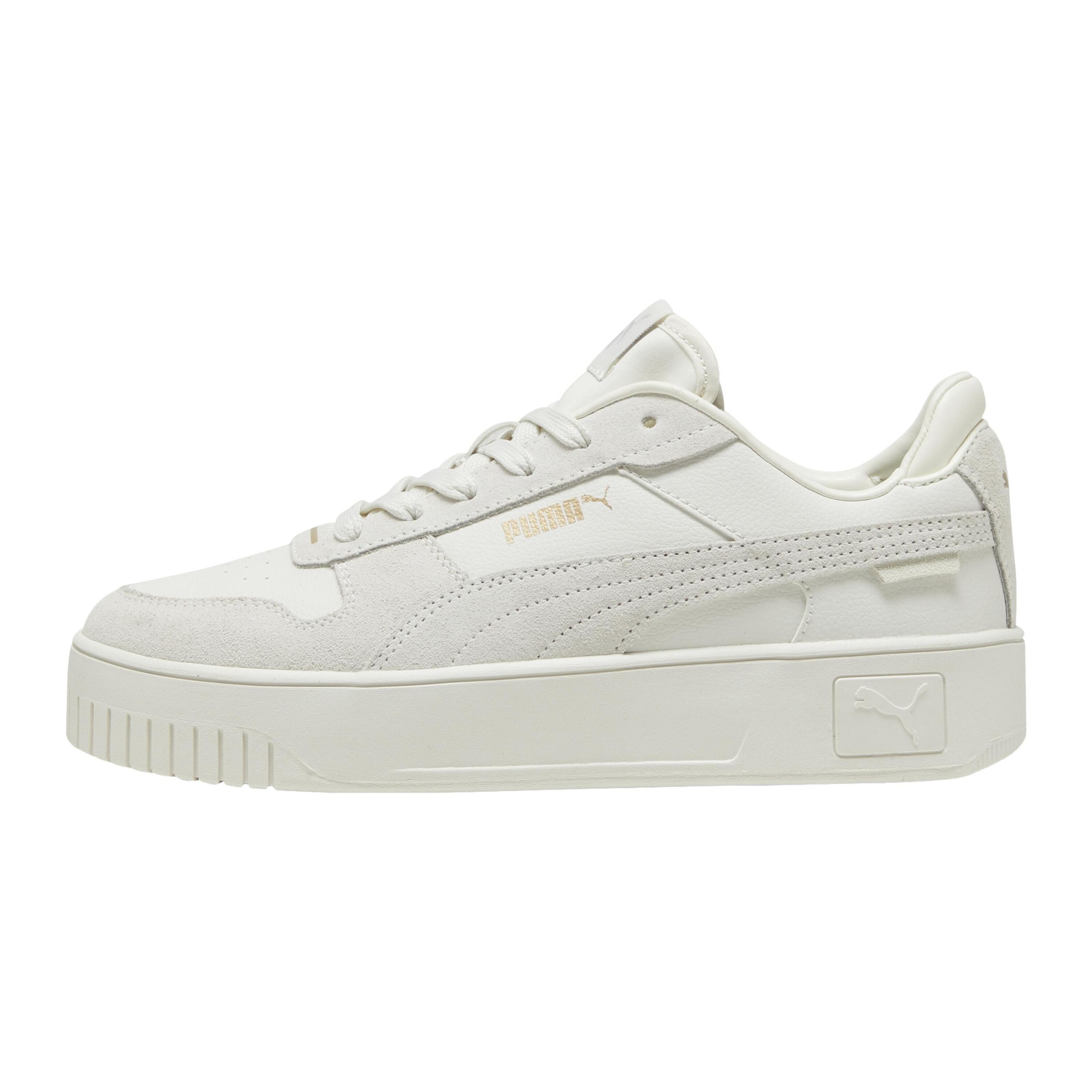 PUMA picture