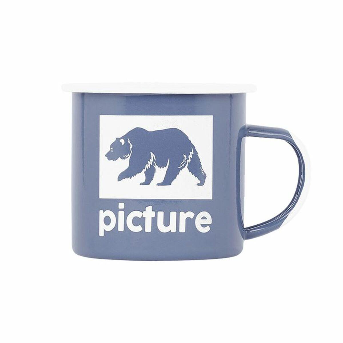 PICTURE picture