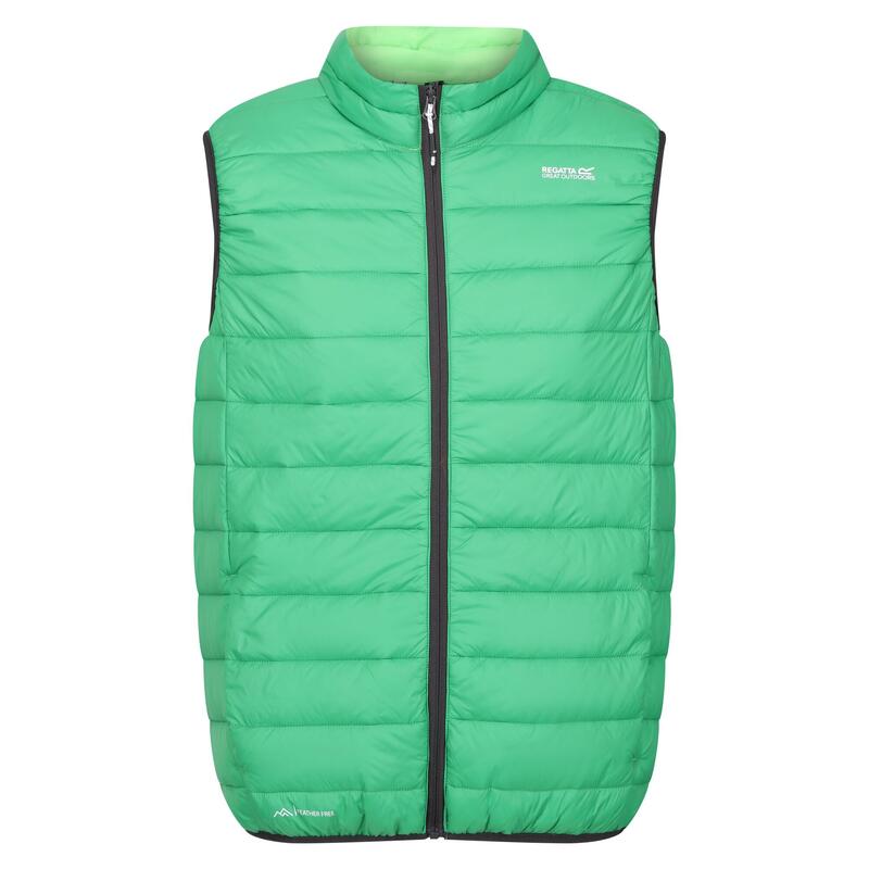 Heren Marizion Gewatteerd Gilet (Veldgroen/Jasmijngroen)