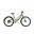 Bicicletta elettrica da città Ahooga Modulare Low Step Alba Verde