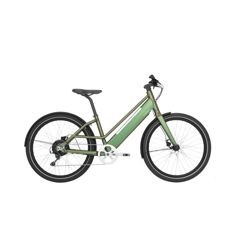 Bicicletta elettrica da città Ahooga Modulare Low Step Alba Verde