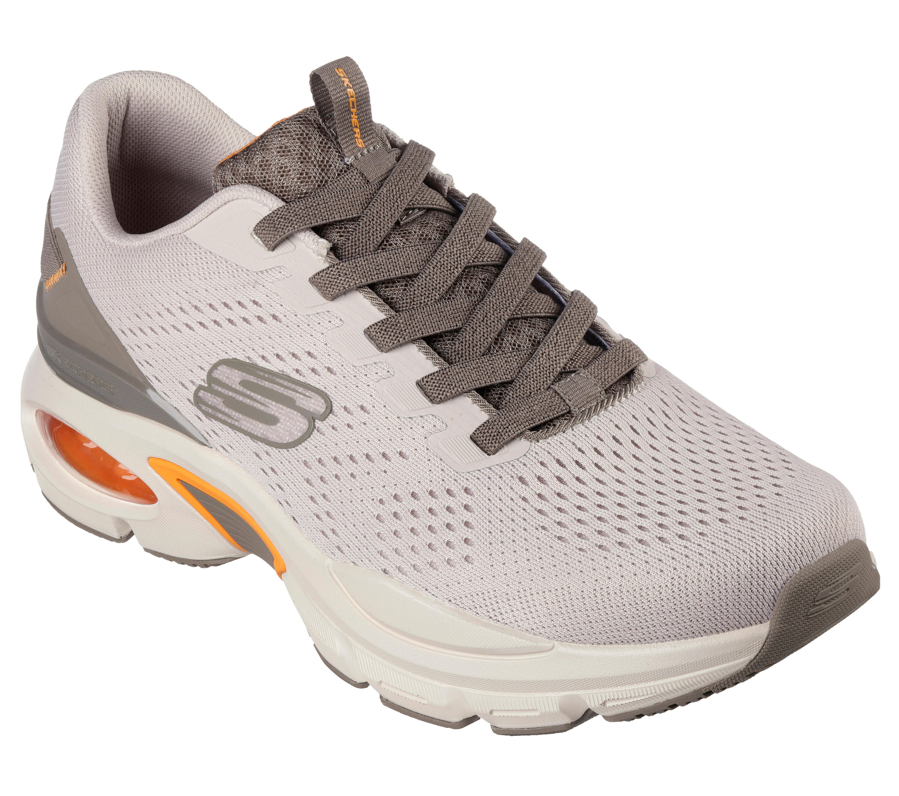 SKECHERS picture