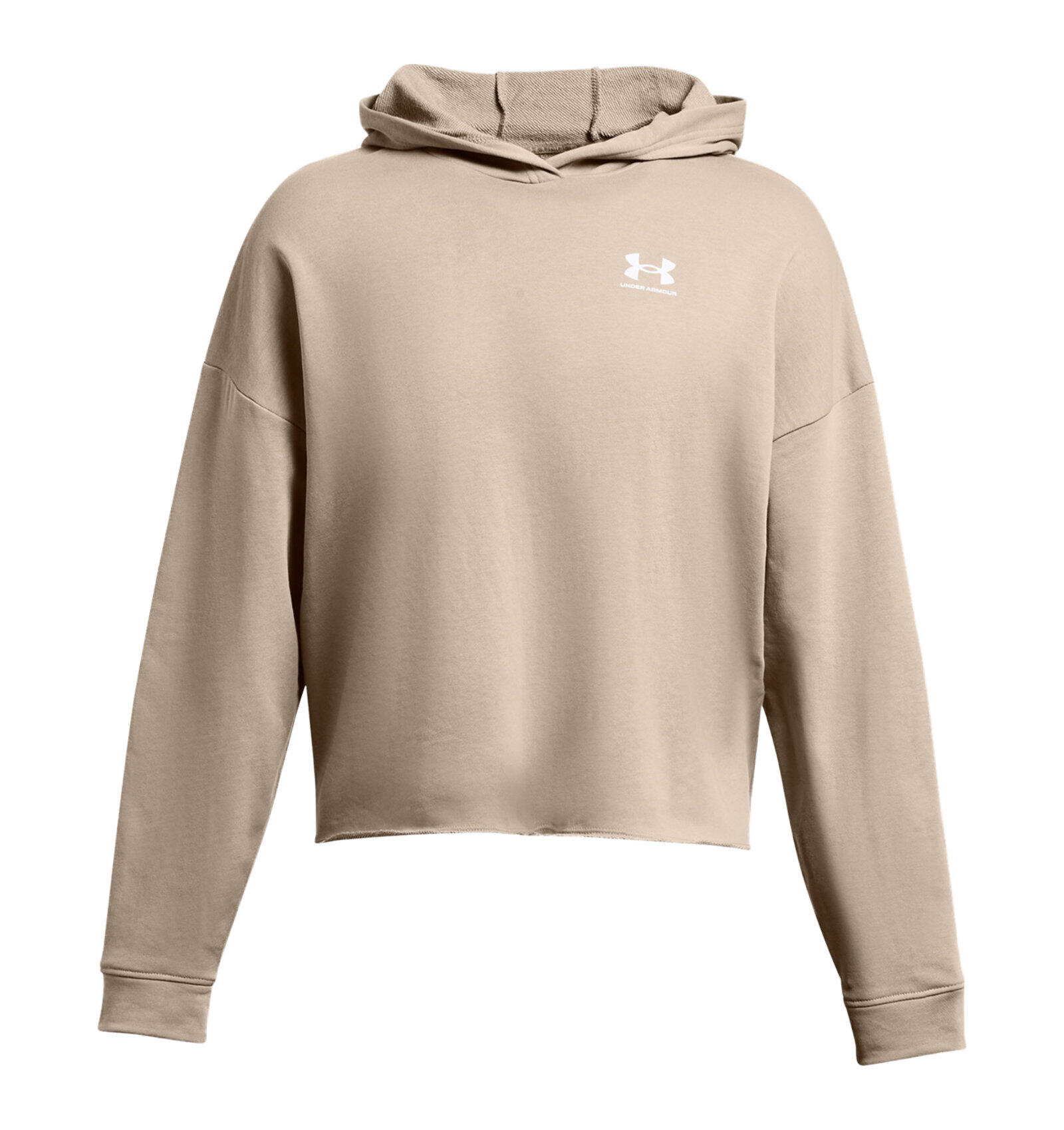 UNDER ARMOUR UA Rival Terry Oversize-Hoodie für Damen