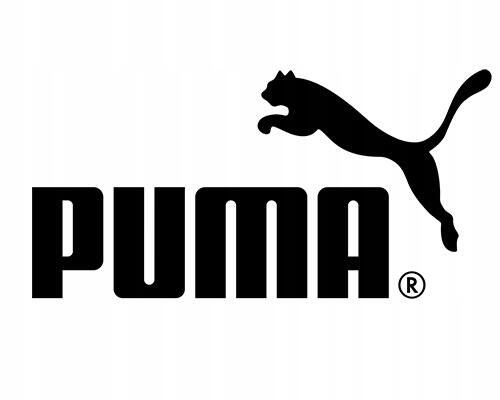Puma Sportaccessoires Puma Tr Fles Core Volwassenen 6/6