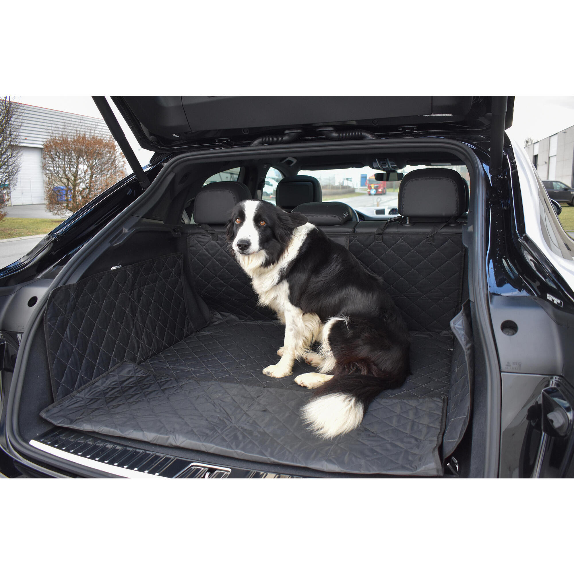 Trunk protection mat for dogs