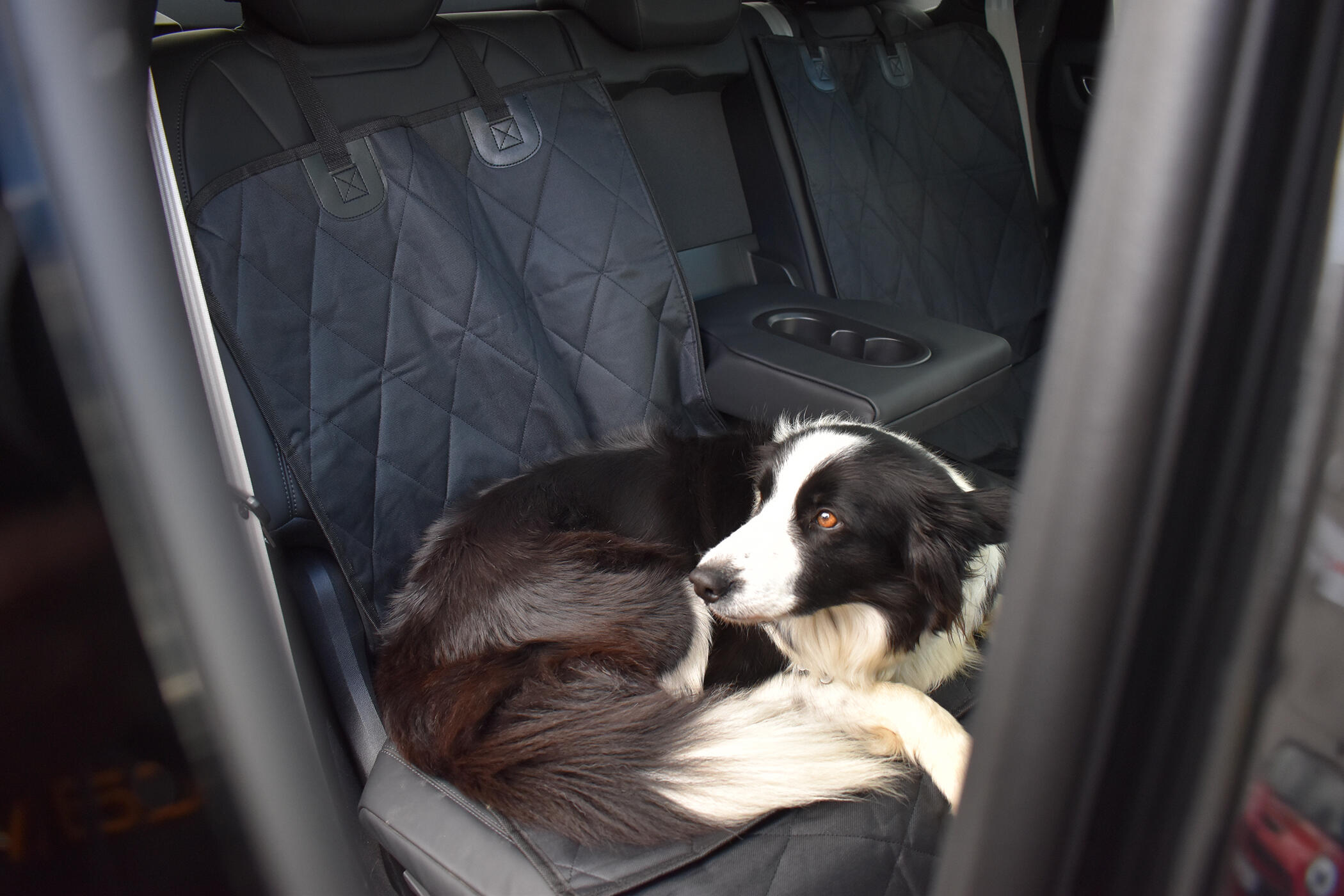 Citroen E-C4 2020 Hoes Autostoelhoes Voor Honden - Voor Citroën E-C4 2020 - Waterdicht & Antislip - Achterbank Beschermer Hondendeken Achterbank