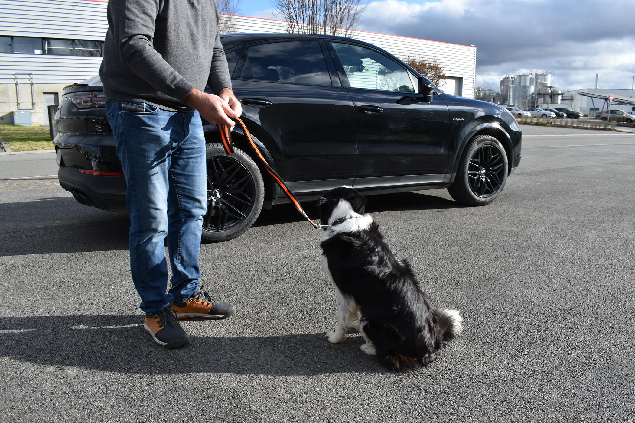 Dog leash with seat belt buckle 3/6