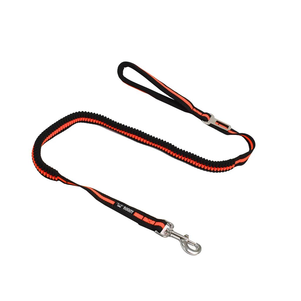 Dog leash with seat belt buckle