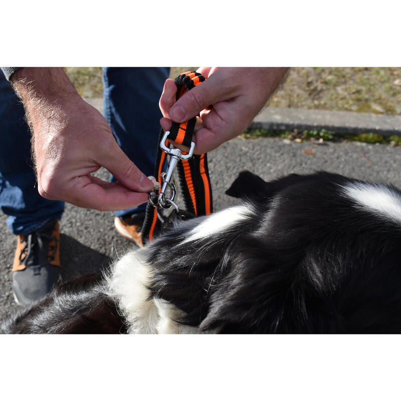 Trela para cães com fivela de cinto de segurança