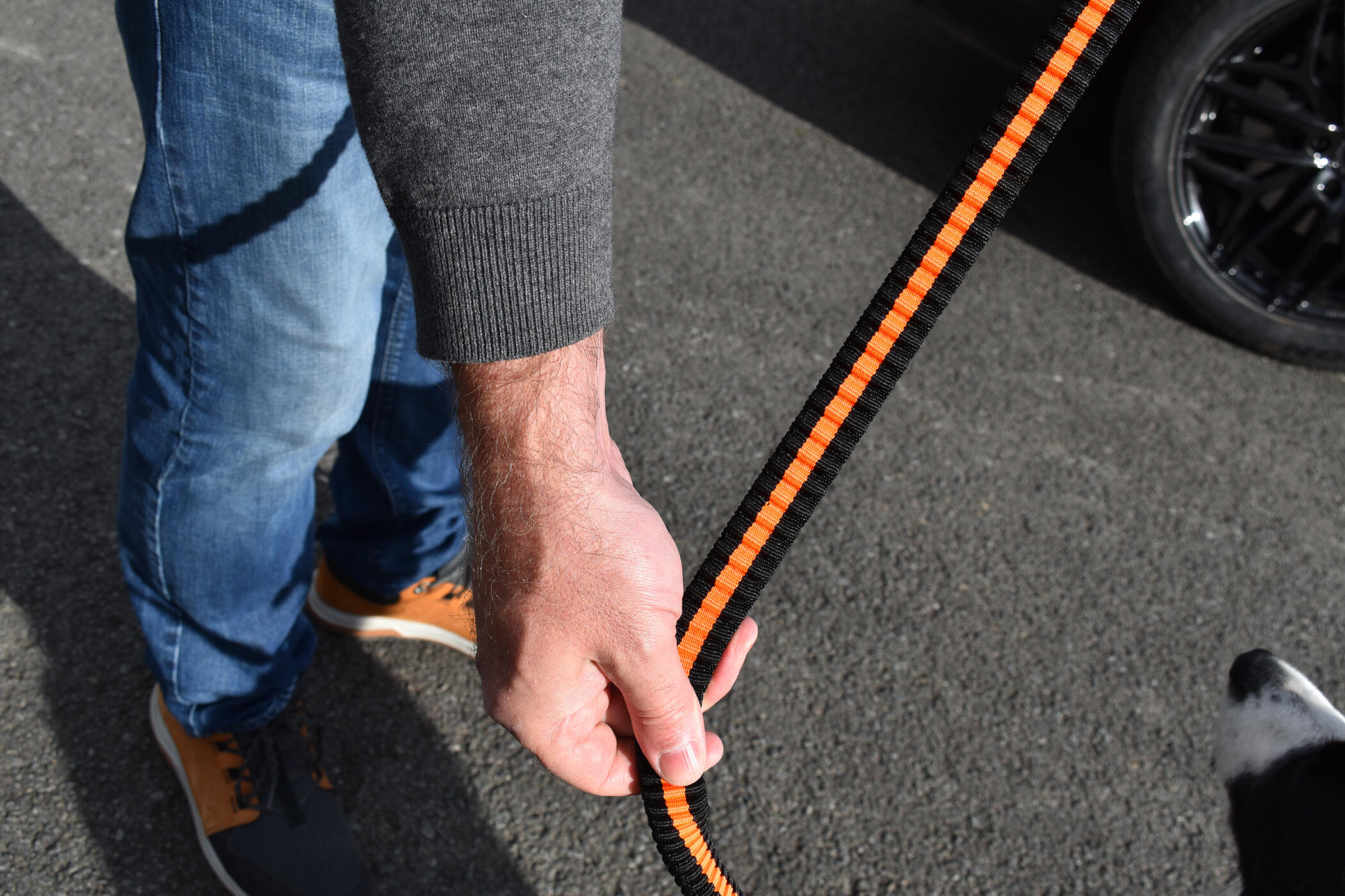 Dog leash with seat belt buckle 6/6