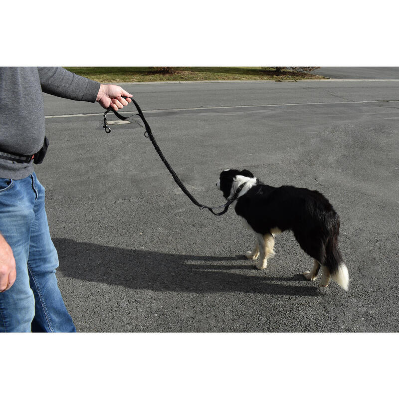 Canicross riemen voor honden met afneembare fietstas