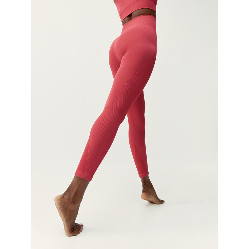 Legging de yoga Amal Born Living pour femmes