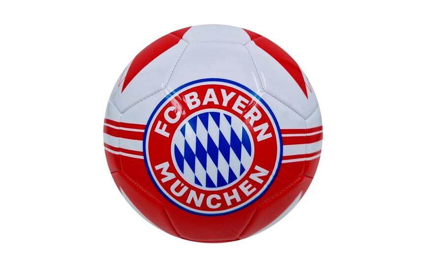 FC BAYERN MÜNCHEN picture