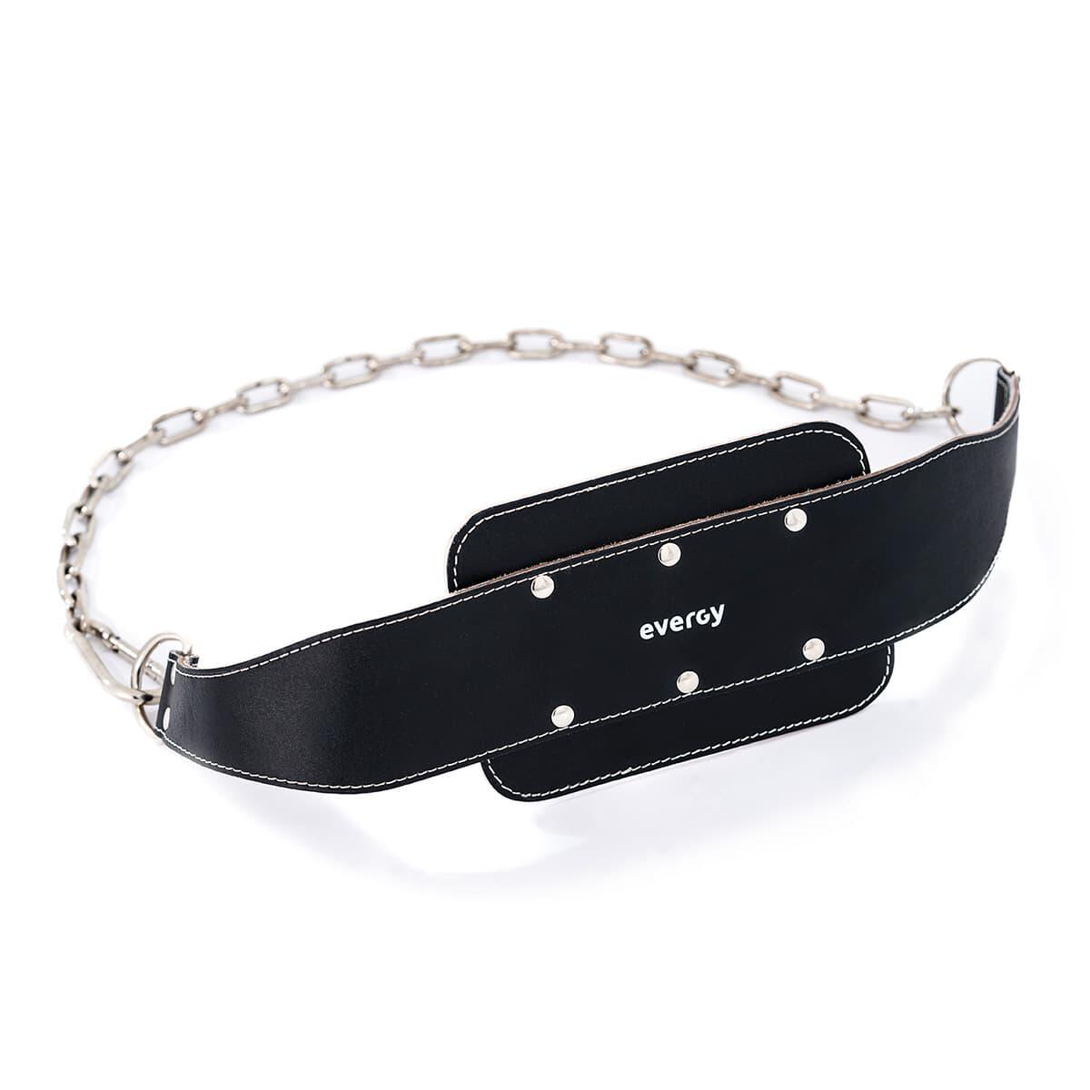 EVERGY picture