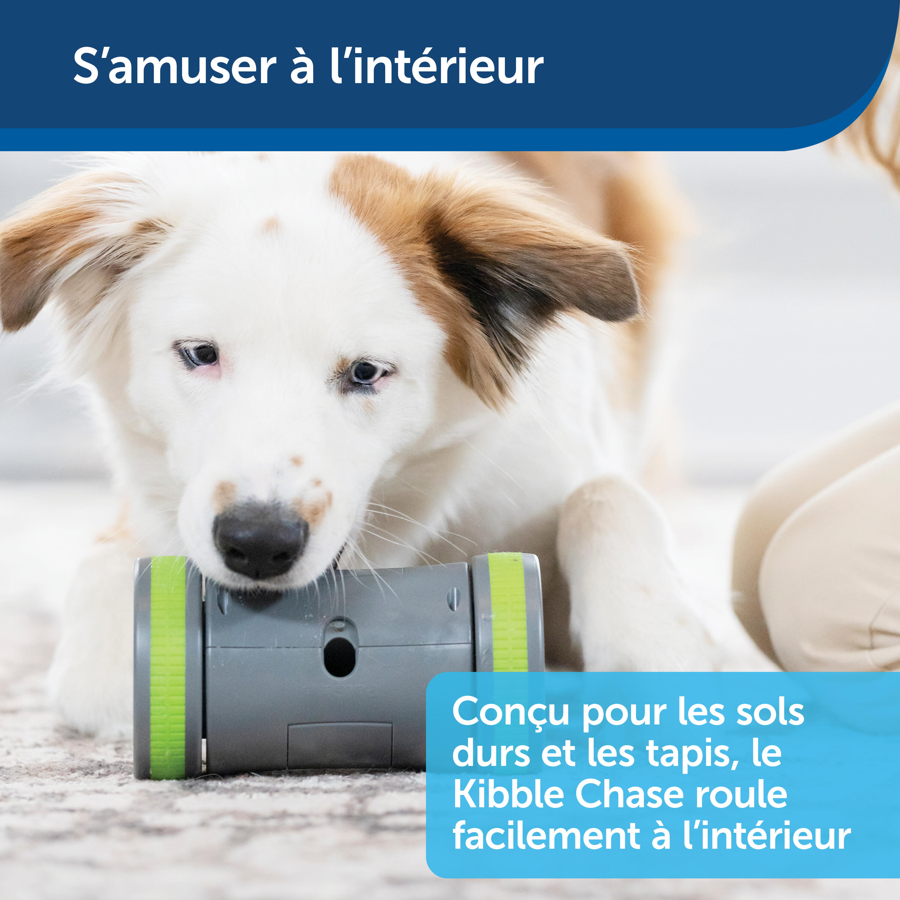 JOUET DISTRIBUTEUR KIBBLE CHASE 6/7