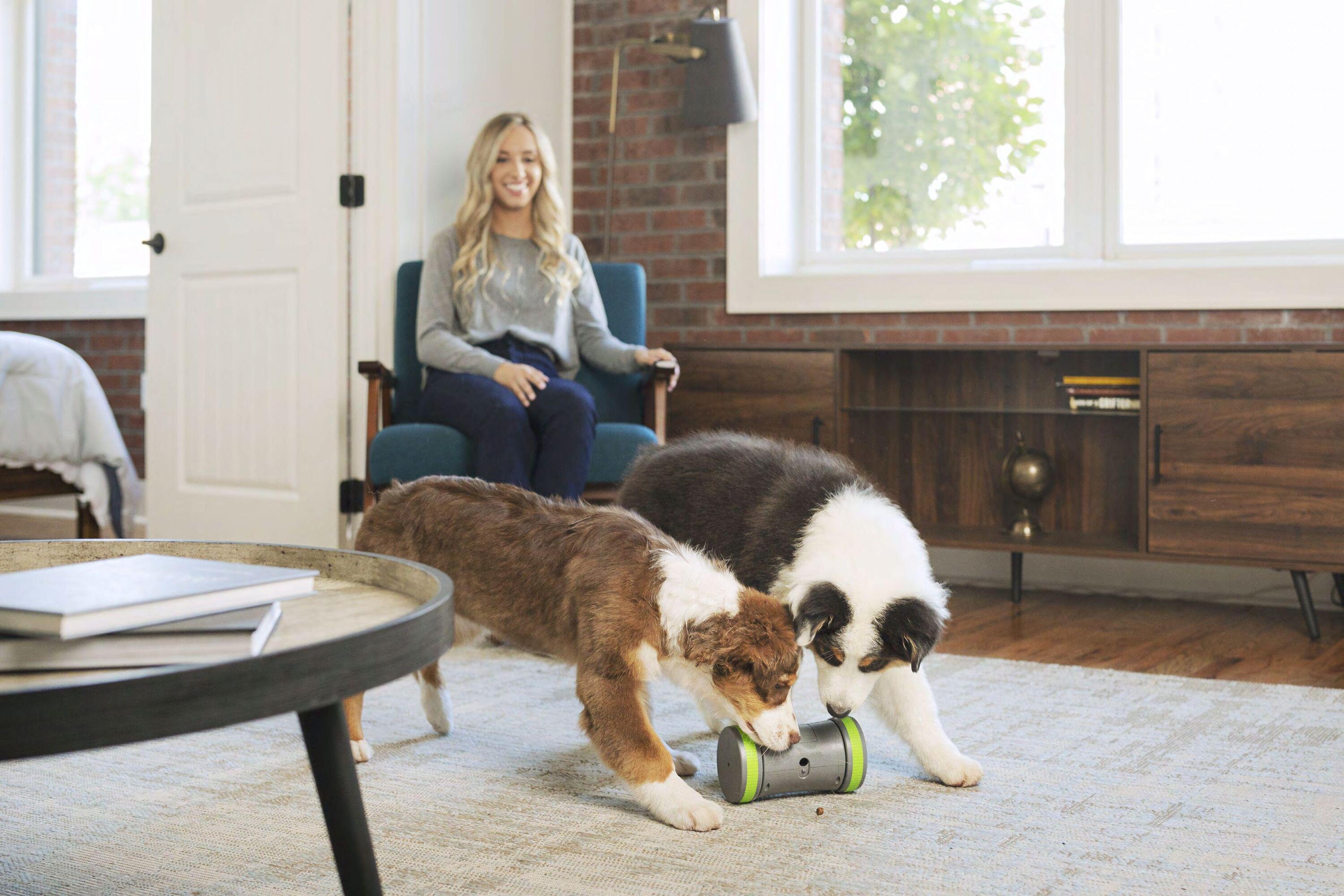 JOUET DISTRIBUTEUR KIBBLE CHASE 7/7