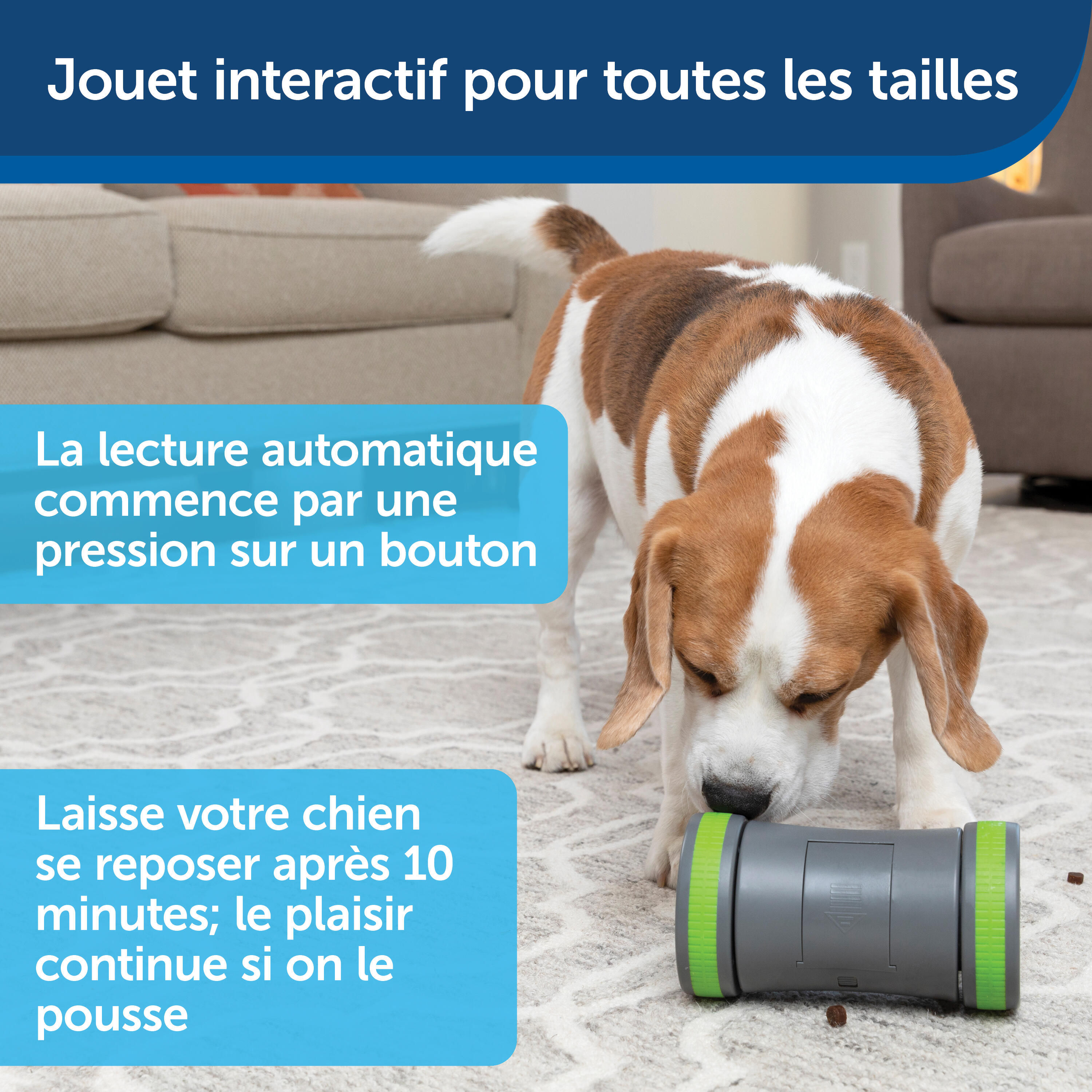 JOUET DISTRIBUTEUR KIBBLE CHASE 4/7