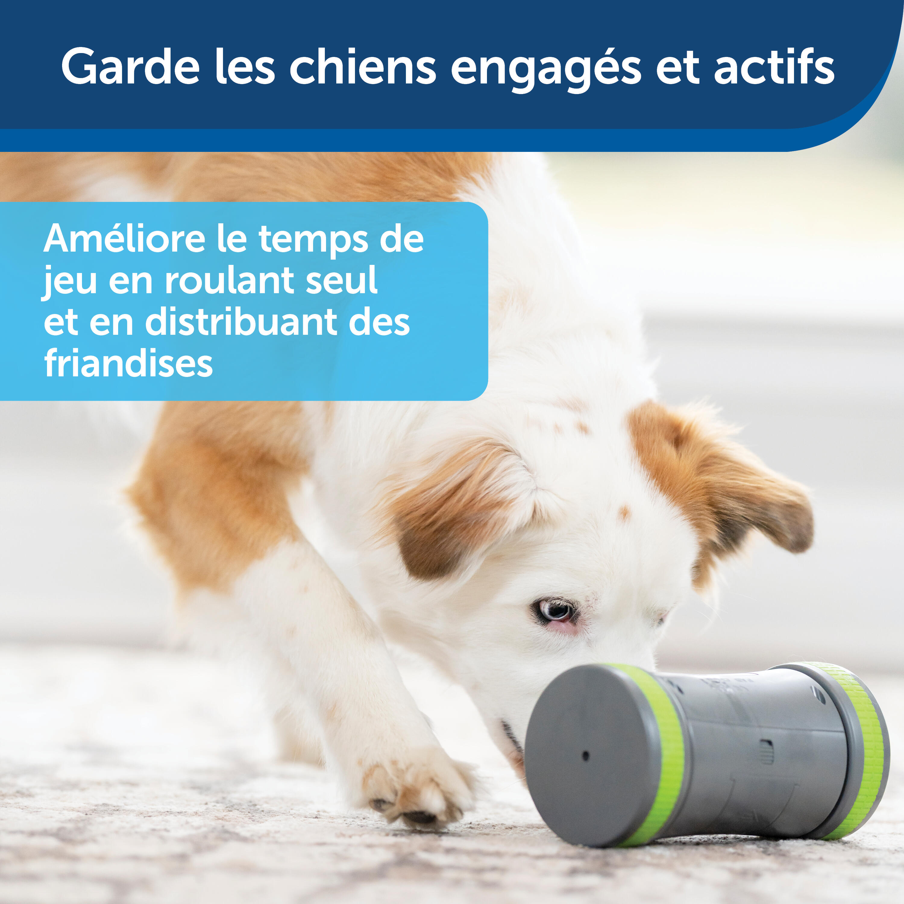 JOUET DISTRIBUTEUR KIBBLE CHASE 2/7