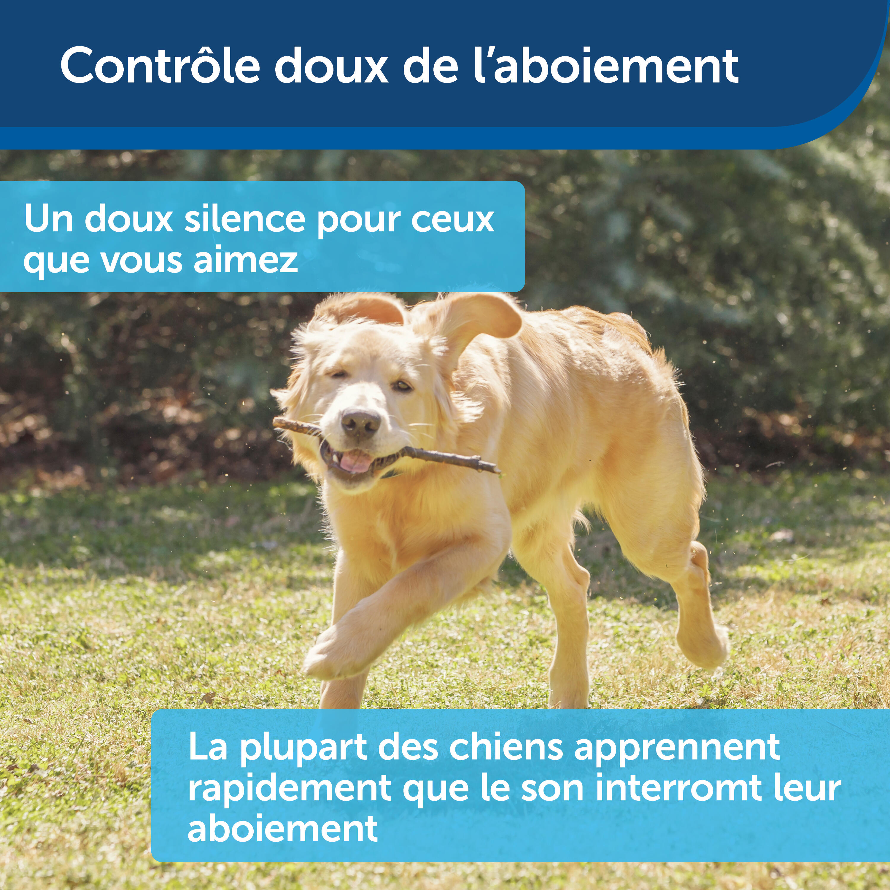 MAISONETTE ANTI ABOIEMENT EXTERIEUR 3/7