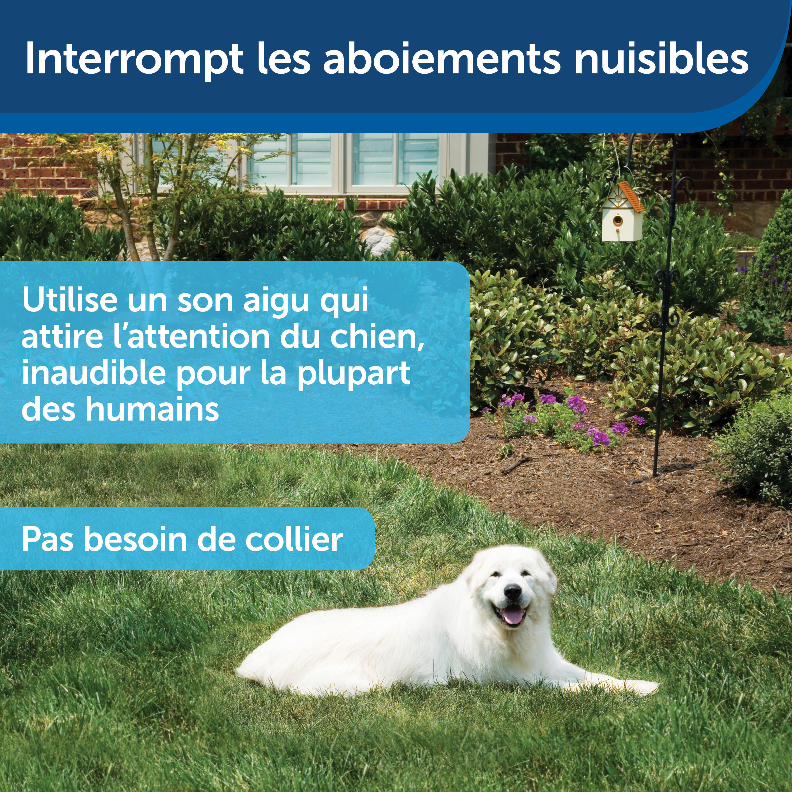 MAISONETTE ANTI ABOIEMENT EXTERIEUR 2/7