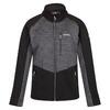 Veste softshell FARSON Homme (Noir / Gris foncé)