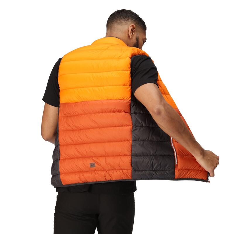 Férfi steppelt mellény - Harrock II gilet