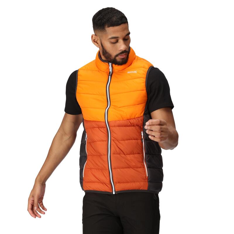 Férfi steppelt mellény - Harrock II gilet