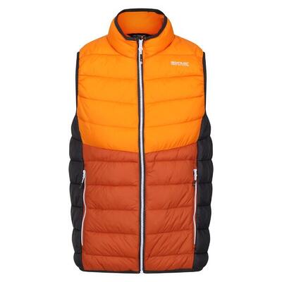 Gilet Trapuntato Uomo Regatta Harrock II New Royal Blu Navy