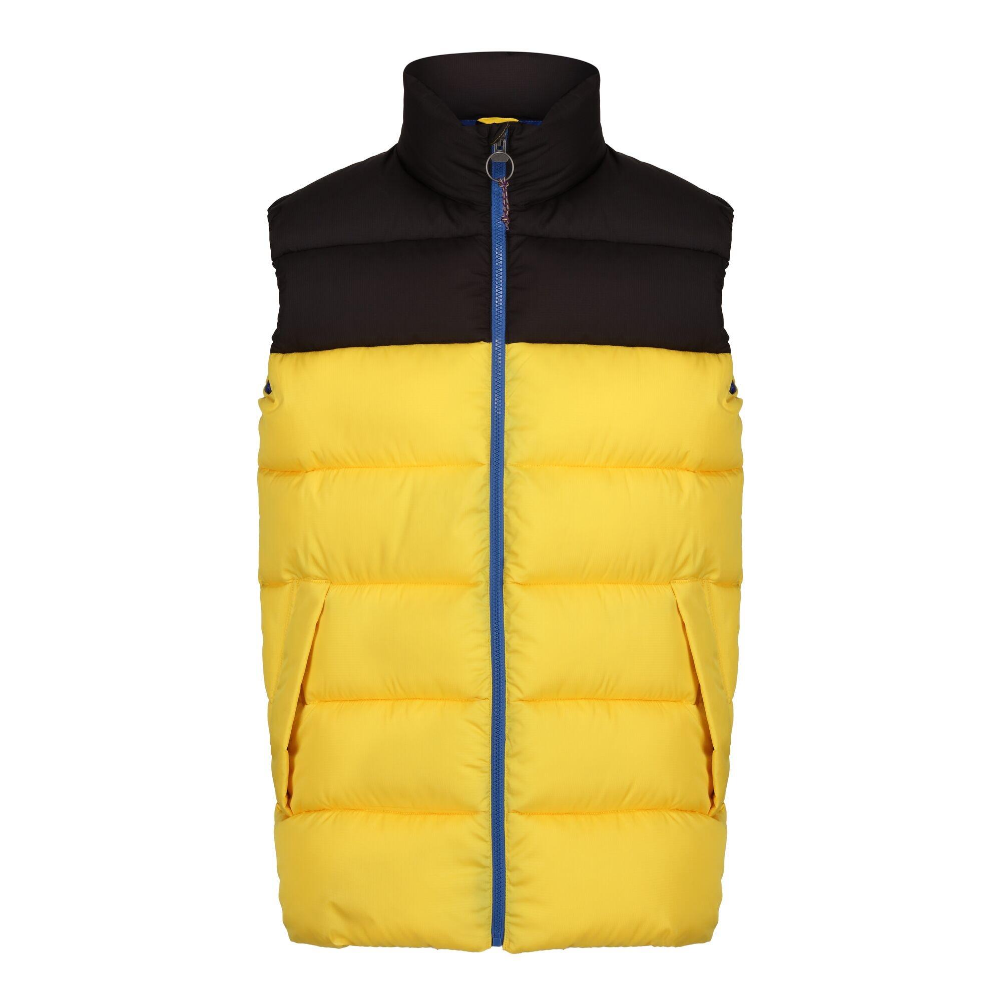 yellow / black