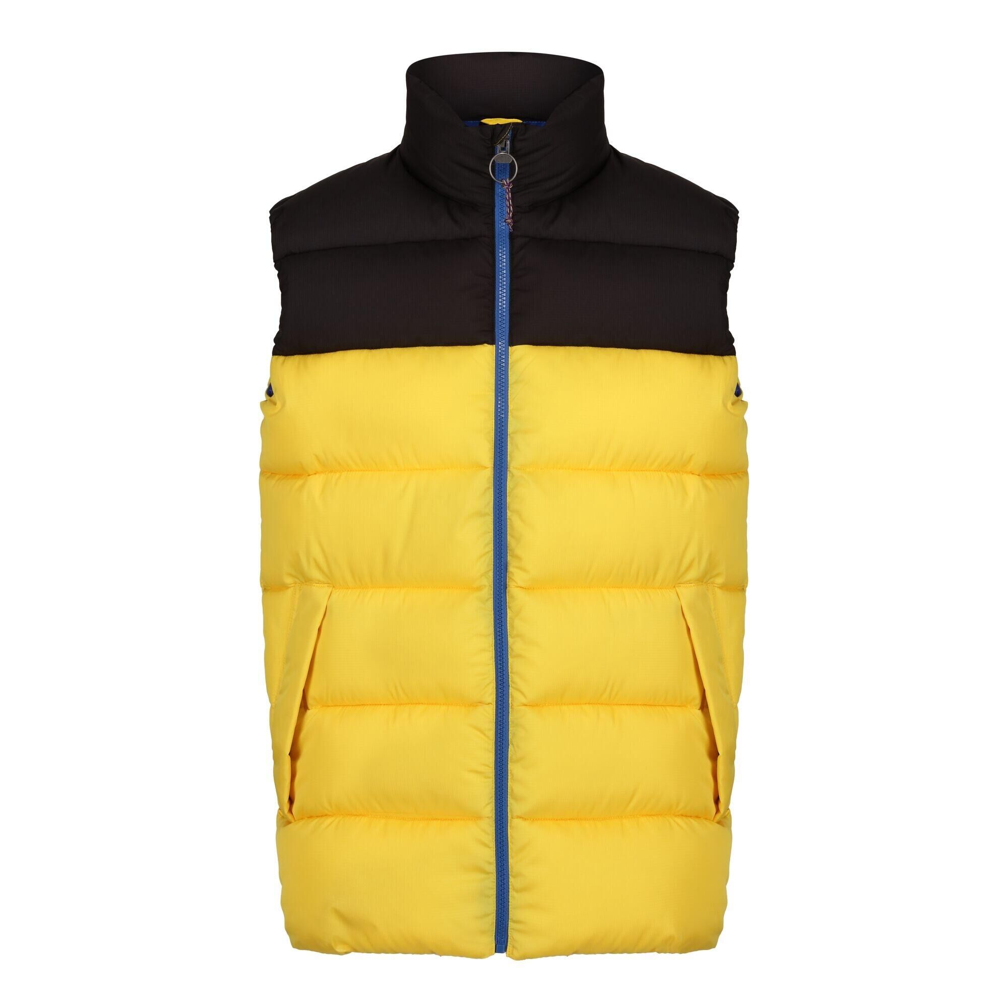 REGATTA Mens Vintage Colour Block Gilet (Solar/Black)