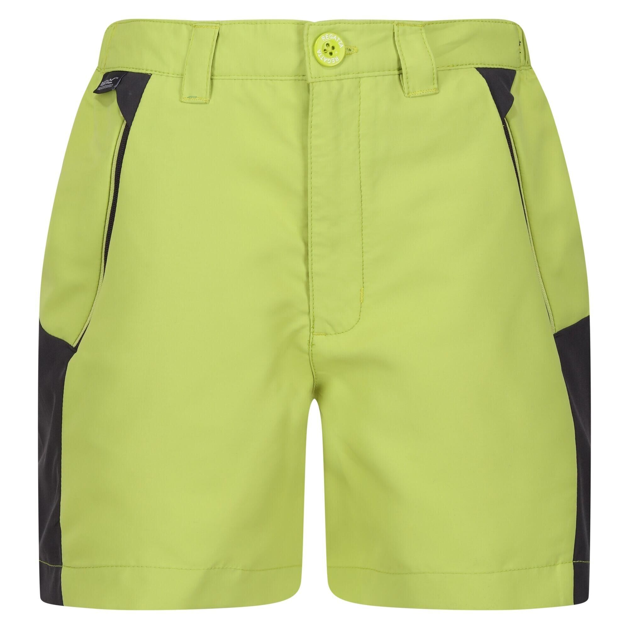 REGATTA Childrens/Kids Sorcer Mountain III Shorts (Green Algae/Seal Grey)