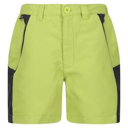 Kinderen/Kinderen Sorcer Mountain III Korte broek (Groen Alg/Seal Grijs)