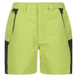 Pantalones Cortos Sorcer Mountain III para Niños/Niñas Algas Verdes, Gris Seal