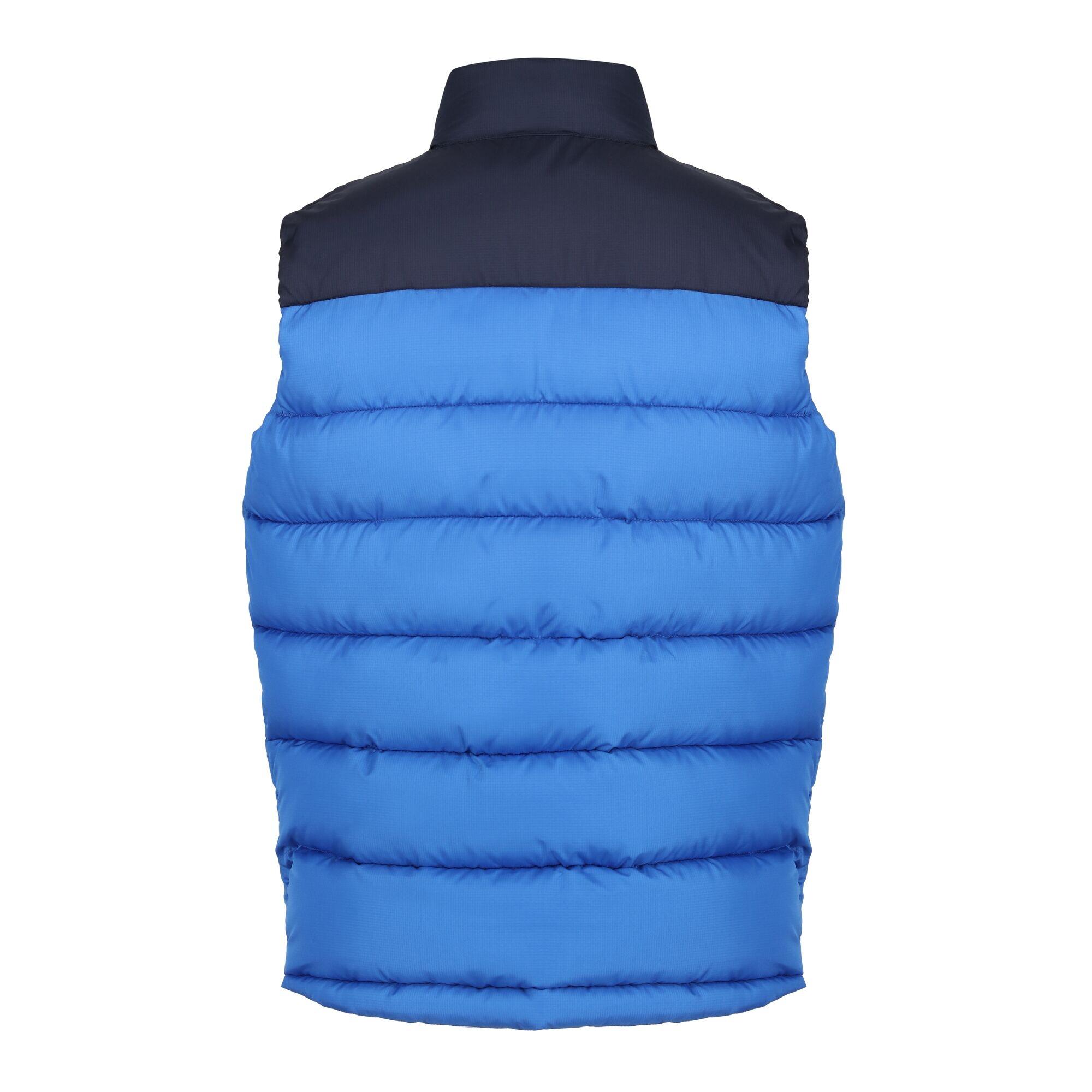 Gilet Blocchi Di Colore Uomo Regatta Professional Blu Intenso Blu Navy 2/5
