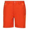 Kinderen/Kinderen Sorcer Mountain III Korte broek (Roestig oranje/Blauw oranje)