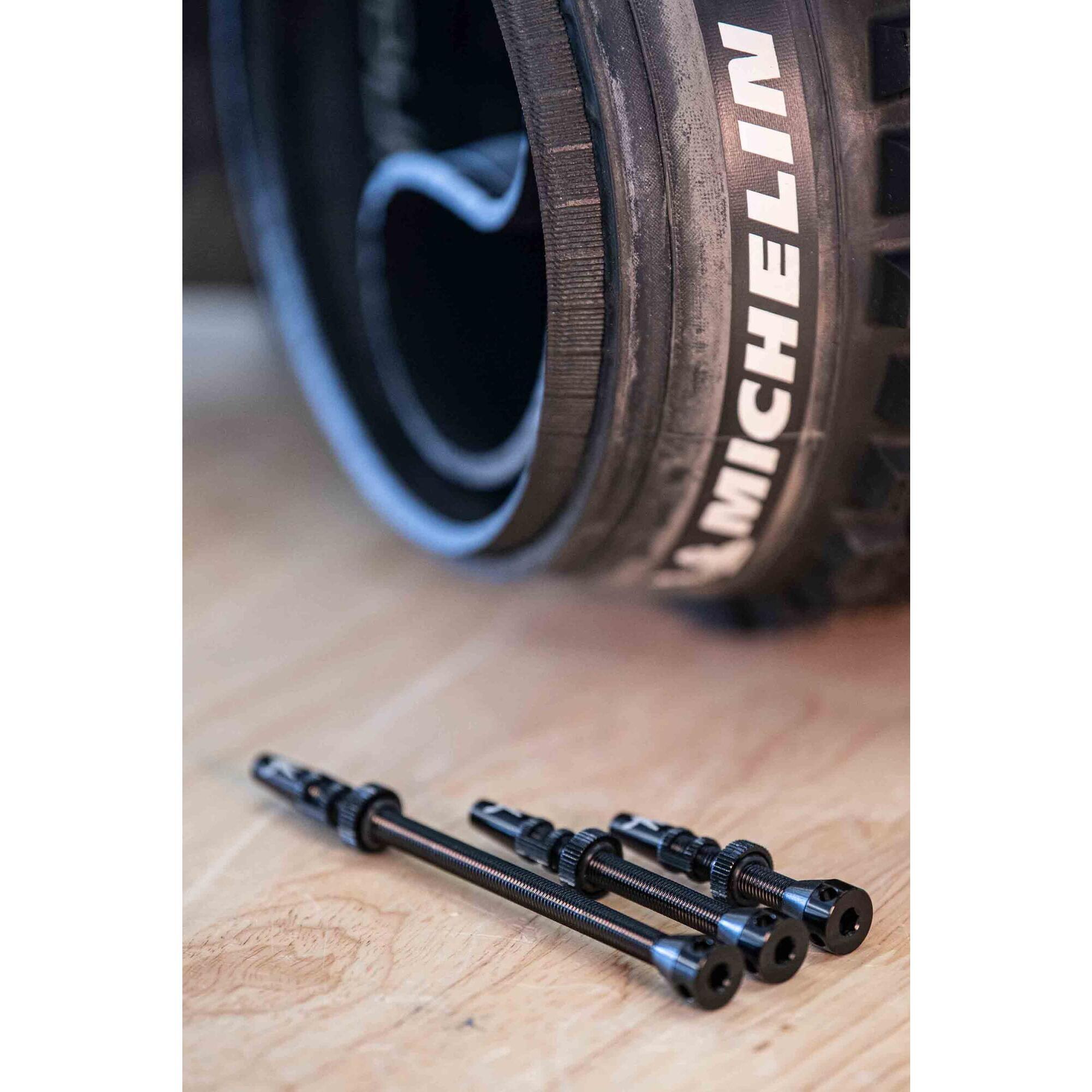 Tubeless valve Michelin (x2)