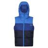 Kinder/Kinder Lofthouse zwaargewicht bodywarmer (Sterk Blauw/Nieuw Royal)