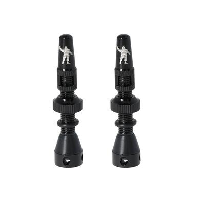 Tubeless ventiel michelin (x2)
