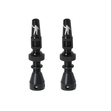 Tubeless-Ventil Michelin (x2)